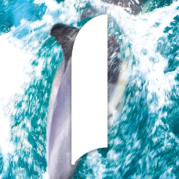 Flag Shape - Fin